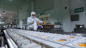 果秀食品 以生物基材料技術(shù)研發(fā)為引擎，開啟創(chuàng)新轉(zhuǎn)型新征程，再鑄“新果秀”輝煌